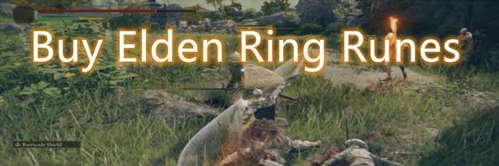 Elden Ring Tank Build-4